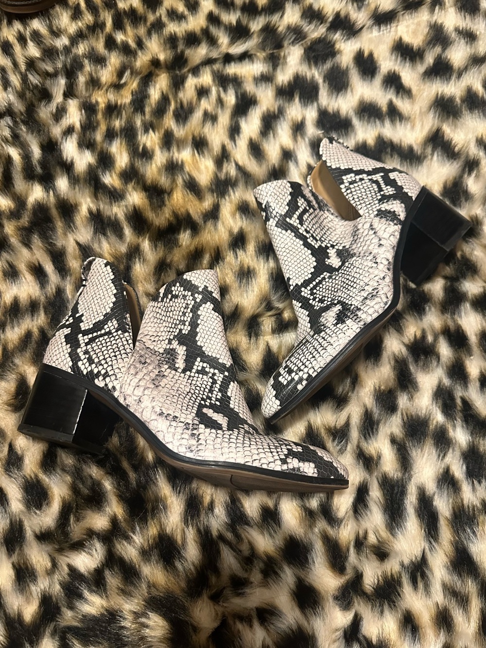 Franco Sarto Snake-Print Ankle Boots in Black and white